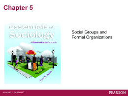 Chapter 5  Social Groups and Formal Organizations Social Groups A collection of two or more people who: • Identify and interact with one another. •