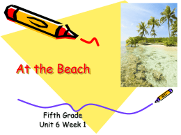 At the Beach  Fifth Grade Unit 6 Week 1 Words to Know driftwood sea urchins  tweezers hammocks  algae  sternly  concealed  lamented.