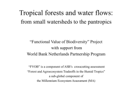 Tropical forests and water flows: from small watersheds to the pantropics  “Functional Value of Biodiversity” Project with support from World Bank Netherlands Partnership Program “FVOB”