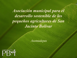 Asociación municipal para el desarrollo sostenible de los pequeños agricultores de San Jacinto Bolívar  Asomudepas  http://www.corporacionpba.org.