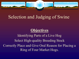 Selection and Judging of Swine Objectives Identifying Parts of a Live Hog Select High-quality Breeding Stock Correctly Place and Give Oral Reason for Placing.