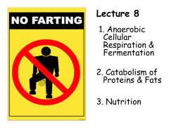 Lecture 8 1. Anaerobic Cellular Respiration & Fermentation  2. Catabolism of Proteins & Fats 3. Nutrition Aerobic Cellular Respiration → Utilizes glycolysis, synthesis of acetyl-CoA, Krebs cycle, and electron.