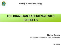 Ministry of Mines and Energy  THE BRAZILIAN EXPERIENCE WITH BIOFUELS  Marlon Arraes Coordinator - Renewable Fuels Department  06.18.2007