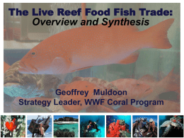 The Live Reef Food Fish Trade: Overview and Synthesis  Geoffrey Muldoon Strategy Leader, WWF Coral Program.