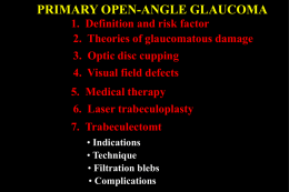 PRIMARY OPEN-ANGLE GLAUCOMA 1. 2. 3. 4.  Definition and risk factor Theories of glaucomatous damage Optic disc cupping Visual field defects  5.