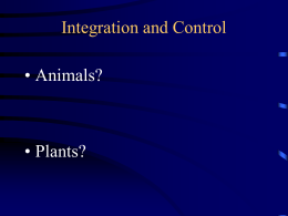 Integration and Control • Animals?  • Plants? Integration and Control • Animals? –nervous impulses & hormones  • Plants? –phytohormones.