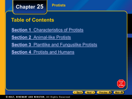 Chapter 25  Protists  Table of Contents Section 1 Characteristics of Protists Section 2 Animal-like Protists Section 3 Plantlike and Funguslike Protists  Section 4 Protists and Humans.