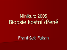 Minikurz 2005  Biopsie kostní dřeně František Fakan Trepanobiopsie kostní dřeně A. Normální kostní dřeň.