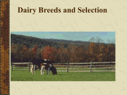 Dairy Breeds and Selection Dairy Breeds and Selection Overview Major Breeds of Dairy Cattle Dairy Terms and Definitions Parts of a Dairy Cow Dairy Traits.