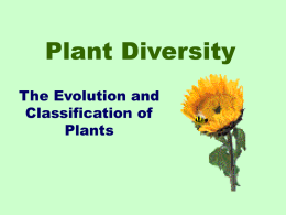 Plant Diversity The Evolution and Classification of Plants Warm-up: Write each Question and Answer for Each.  What do I know about plants? True or False 1.