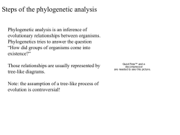 Steps of the phylogenetic analysis Phylogenetic analysis is an inference of evolutionary relationships between organisms. Phylogenetics tries to answer the question “How did groups.