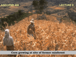 AGEC/FNR 406  LECTURE 9  Corn growing at site of former rainforest Benefit-Cost Analysis First of two related lectures: 1.