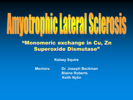 “Monomeric exchange in Cu, Zn Superoxide Dismutase” Kelsey Squire Mentors:  Dr. Joseph Beckman Blaine Roberts Keith Nylin.