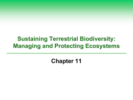 Sustaining Terrestrial Biodiversity: Managing and Protecting Ecosystems Chapter 11 Core Case Study: Reintroducing Gray Wolves to Yellowstone  1850–1900: decline of wolves due to human.