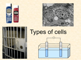 Types of cells Overview • “Cells” are containers of liquid with electrodes: Source or use of electricity Electrode Cell – + Molten or – + – + aqueous chemicals  • In “electrolytic cells”, electricity is used.