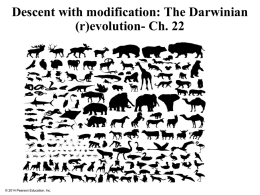 Descent with modification: The Darwinian (r)evolution- Ch. 22  &copy; 2014 Pearson Education, Inc.