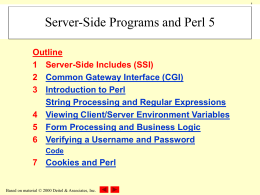 Server-Side Programs and Perl 5 Outline 1 Server-Side Includes (SSI) 2 Common Gateway Interface (CGI) 3 Introduction to Perl String Processing and Regular Expressions 4 Viewing.