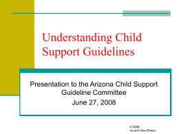 Understanding Child Support Guidelines Presentation to the Arizona Child Support Guideline Committee June 27, 2008  © 2008 Ira and Tara Ellman.