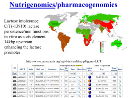 Nutrigenomics/pharmacogenomics Lactose intolerance: C/T(-13910) lactase persistence/non functions in vitro as a cis element 14kbp upstream enhancing the lactase promoter http://www.genecards.org/cgi-bin/carddisp.pl?gene=LCT.