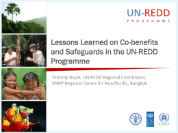 Lessons Learned on Co-benefits and Safeguards in the UN-REDD Programme Timothy Boyle, UN-REDD Regional Coordinator, UNDP Regional Centre for Asia/Pacific, Bangkok.