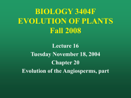 BIOLOGY 3404F EVOLUTION OF PLANTS Fall 2008 Lecture 16 Tuesday November 18, 2004 Chapter 20 Evolution of the Angiosperms, part.