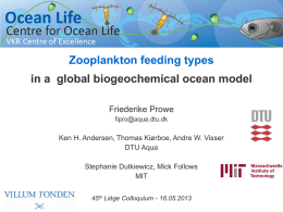 Zooplankton feeding types in a global biogeochemical ocean model Friederike Prowe fipro@aqua.dtu.dk  Ken H.