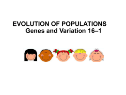 Section Outline Section 16-1  EVOLUTION OF POPULATIONS Genes and Variation 16–1 http://www.answers.com/topic/gregor-mendel  When Darwin developed his theory of evolution, he didn’t know how ____________ worked. Mendel’s work on.