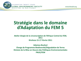 Stratégie dans le domaine d’Adaptation du FEM 5 Atelier élargie de la circonscription de l’Afrique Central du FEM,Kinshasa 15-17 Février 2011 Adamou Bouhari Charge.