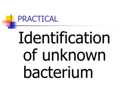 PRACTICAL  Identification of unknown bacterium Why species level identification required?       To know which species is involved in the particular condition To know the subspecies To further know the.