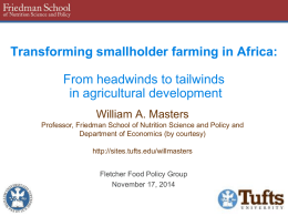 Transforming smallholder farming in Africa:  From headwinds to tailwinds in agricultural development William A.