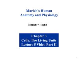 Marieb’s Human Anatomy and Physiology Marieb w Hoehn  Chapter 3 Cells: The Living Units Lecture 5 Video Part II.