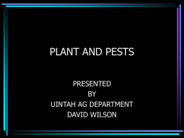 PLANT AND PESTS PRESENTED BY UINTAH AG DEPARTMENT DAVID WILSON PERFORMANCE OBJECTIVE • After completion of this unit, students will be able to identify and classify.
