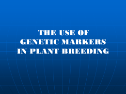 THE USE OF GENETIC MARKERS IN PLANT BREEDING Use of Molecular Markers  Clonal identity,  Family structure,  Population structure,   Phylogeny (Genetic Diversity)  Mapping  