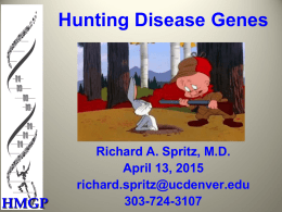 Hunting Disease Genes  HMGP  Richard A. Spritz, M.D. April 13, 2015 richard.spritz@ucdenver.edu 303-724-3107 Why Find Disease Genes?  Accelerated by finding the disease gene.