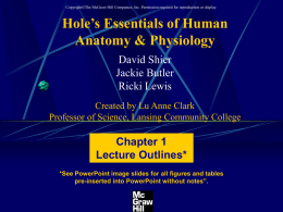 CopyrightThe McGraw-Hill Companies, Inc. Permission required for reproduction or display.  Hole’s Essentials of Human Anatomy & Physiology David Shier Jackie Butler Ricki Lewis Created by Lu.