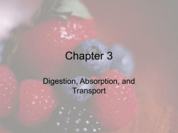 Chapter 3 Digestion, Absorption, and Transport Digestion • Digestion is the process of breaking down foods into nutrients to prepare for absorption while overcoming 7