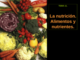 TEMA 11.  La nutrición. Alimentos y nutrientes. Los alimentos. ¿Qué son? Son los materiales que entran en nuestro cuerpo por el tubo digestivo.