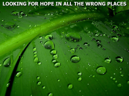 LOOKING FOR HOPE IN ALL THE WRONG PLACES 1 Corinthians 15:12 Now if Christ is preached that He has been raised.