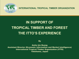 INTERNATIONAL TROPICAL TIMBER ORGANIZATION  IN SUPPORT OF TROPICAL TIMBER AND FOREST  THE ITTO’S EXPERIENCE By Amha bin Buang Assistant Director (Economic Information and Market Intelligence) International Tropical.