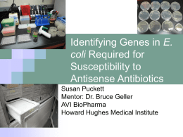 Identifying Genes in E. coli Required for Susceptibility to Antisense Antibiotics Susan Puckett Mentor: Dr.