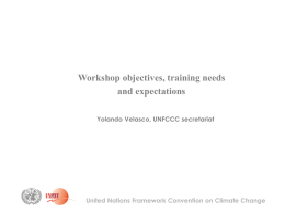 Workshop objectives, training needs and expectations Yolando Velasco, UNFCCC secretariat  United Nations Framework Convention on Climate Change.