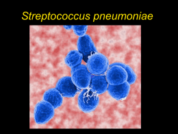 Streptococcus pneumoniae Fig. 6.3b Fig. 6.3b Fig. 6.3b Fig. 6.3b.