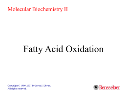 Molecular Biochemistry II  Fatty Acid Oxidation  Copyright © 1999-2007 by Joyce J.