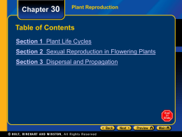 Chapter 30  Plant Reproduction  Table of Contents Section 1 Plant Life Cycles Section 2 Sexual Reproduction in Flowering Plants Section 3 Dispersal and Propagation.