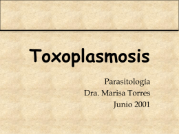 Toxoplasmosis Parasitología Dra. Marisa Torres Junio 2001 Toxoplasmosis • CIE 10 B 58 • zoonosis parasitaria del hombre, mamíferos y aves producida por un protozoo coccidio.
