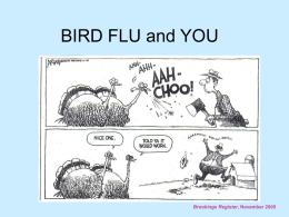 BIRD FLU and YOU  Brookings Register, November 2005 INFLUENZA A • There are THREE known A subtypes of influenza viruses (H1N1, H1N2, and.
