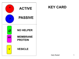 ACTIVE  KEY CARD  PASSIVE  NO HELPER MEMBRANE PROTEIN  VESICLE Kelly Reidell DIFFUSION  EX: Oxygen & Carbon dioxide FACILITATED DIFFUSION (Carrier proteins)  EX: GLUCOSE.