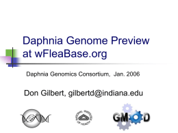 Daphnia Genome Preview at wFleaBase.org Daphnia Genomics Consortium, Jan. 2006  Don Gilbert, gilbertd@indiana.edu.