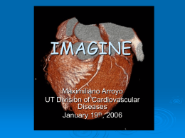 IMAGINE Maximiliano Arroyo UT Division of Cardiovascular Diseases January 19th, 2006       In 1999, more than 1.83 million coronary angiograms were performed in the US.