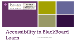 +  Accessibility in BlackBoard Learn Anastasia Trekles, Ph.D. +  What is Accessibility?   Refers to the concept and practice of making electronic documents (websites, PDFs, etc) usable by all,